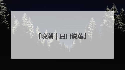 晚潮｜夏日说莲