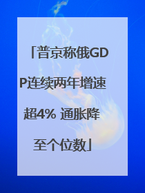 普京称俄GDP连续两年增速超4% 通胀降至个位数