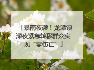 暴雨夜袭！龙潭镇深夜紧急转移群众实现“零伤亡”