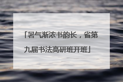 暑气渐浓书韵长，省第九届书法高研班开班