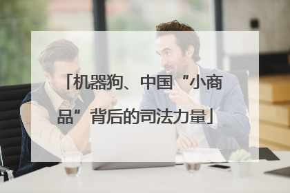 机器狗、中国“小商品”背后的司法力量