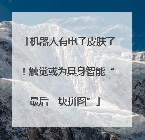 机器人有电子皮肤了！触觉或为具身智能“最后一块拼图”