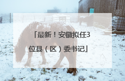最新！安徽拟任3位县（区）委书记