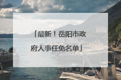 最新！岳阳市政府人事任免名单