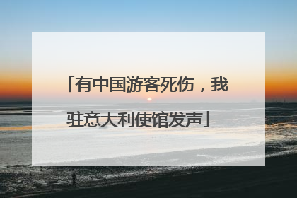 有中国游客死伤，我驻意大利使馆发声