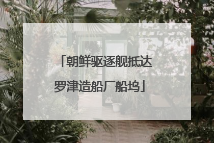 朝鲜驱逐舰抵达罗津造船厂船坞