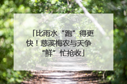 比雨水“跑”得更快！慈溪梅农与天争“鲜”忙抢收