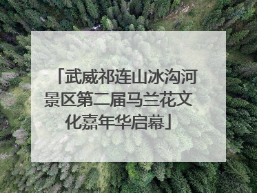 武威祁连山冰沟河景区第二届马兰花文化嘉年华启幕