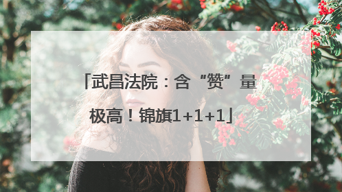 武昌法院：含“赞”量极高！锦旗1+1+1