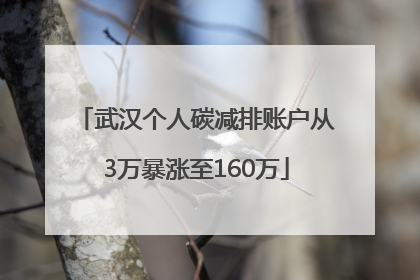 武汉个人碳减排账户从3万暴涨至160万