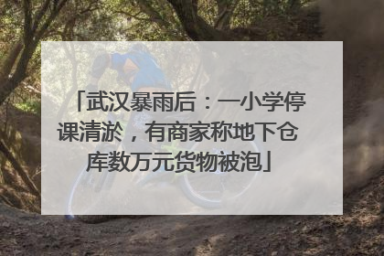 武汉暴雨后：一小学停课清淤，有商家称地下仓库数万元货物被泡