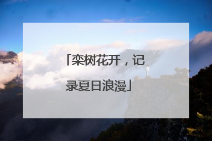 栾树花开，记录夏日浪漫