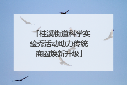 桂溪街道科学实验秀活动助力传统商圈焕新升级