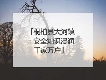 桐柏县大河镇：安全知识浸润千家万户