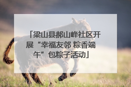梁山县郝山峰社区开展“幸福友邻 粽香端午”包粽子活动