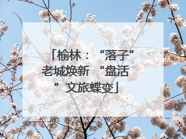 榆林：“落子”老城焕新 “盘活”文旅蝶变