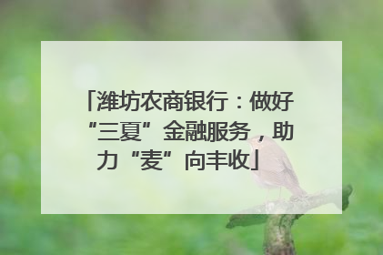 潍坊农商银行：做好“三夏”金融服务，助力“麦”向丰收