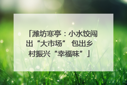 潍坊寒亭：小水饺闯出“大市场” 包出乡村振兴“幸福味”