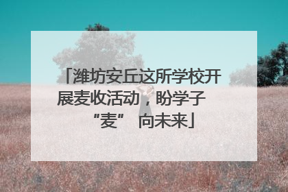 潍坊安丘这所学校开展麦收活动，盼学子 “麦” 向未来