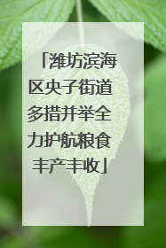 潍坊滨海区央子街道多措并举全力护航粮食丰产丰收
