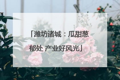 潍坊诸城：瓜甜葱郁处 产业好风光