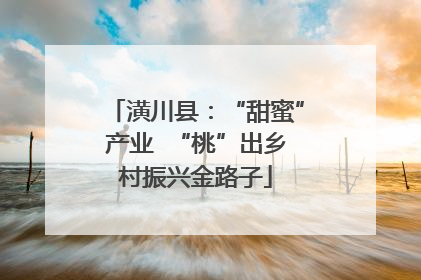 潢川县：“甜蜜”产业  “桃”出乡村振兴金路子