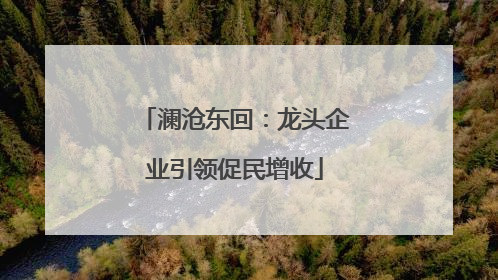 澜沧东回：龙头企业引领促民增收