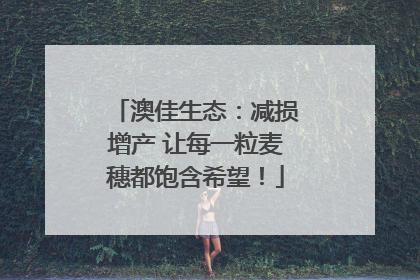 澳佳生态：减损增产 让每一粒麦穗都饱含希望！