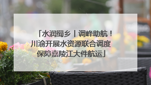 水润蜀乡丨调峰助航！川渝开展水资源联合调度保障嘉陵江大件航运