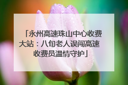 永州高速珠山中心收费大站：八旬老人误闯高速 收费员温情守护