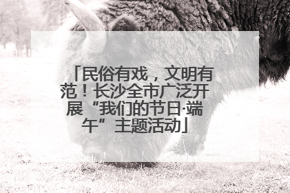 民俗有戏，文明有范！长沙全市广泛开展“我们的节日·端午”主题活动