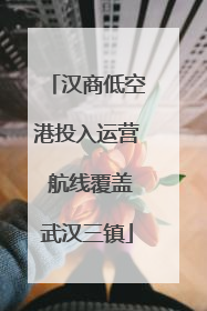 汉商低空港投入运营 航线覆盖武汉三镇