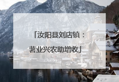 汝阳县刘店镇：薯业兴农助增收