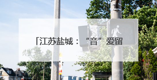 江苏盐城：“音”爱留“夏” 带火一座城