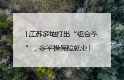 江苏多地打出“组合拳”，多举措保障就业