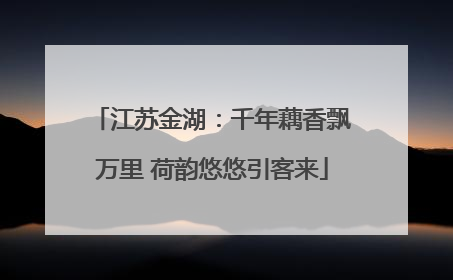 江苏金湖：千年藕香飘万里 荷韵悠悠引客来