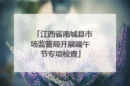 江西省南城县市场监管局开展端午节专项检查