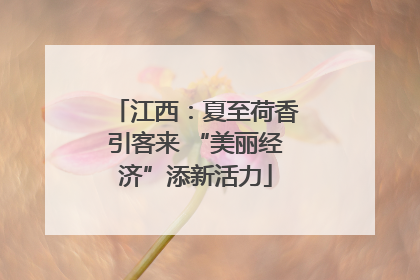 江西：夏至荷香引客来 “美丽经济”添新活力