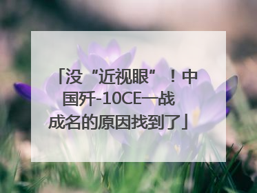 没“近视眼”！中国歼-10CE一战成名的原因找到了