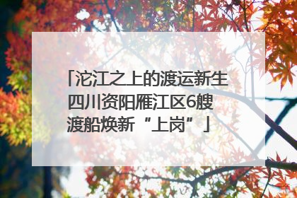 沱江之上的渡运新生 四川资阳雁江区6艘渡船焕新“上岗”