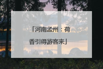 河南孟州：荷香引得游客来