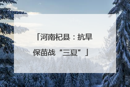 河南杞县：抗旱保苗战“三夏”
