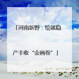 河南新野：绘就稳产丰收“金画卷”