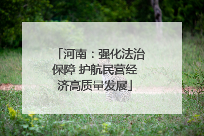 河南：强化法治保障 护航民营经济高质量发展