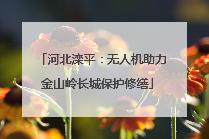 河北滦平：无人机助力金山岭长城保护修缮