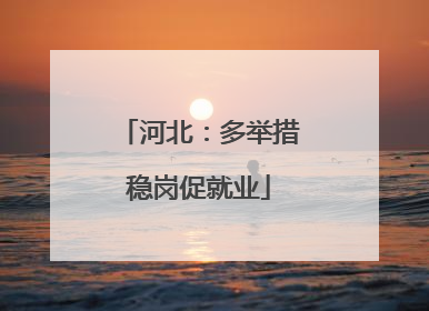 河北：多举措稳岗促就业