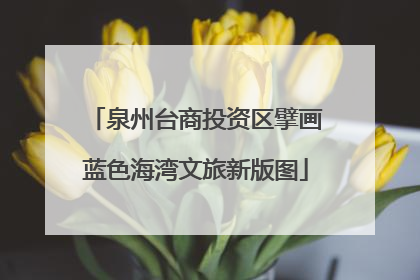 泉州台商投资区擘画蓝色海湾文旅新版图