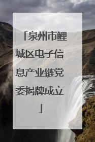 泉州市鲤城区电子信息产业链党委揭牌成立