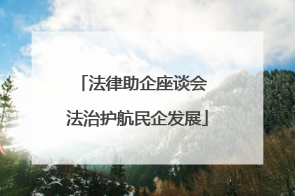 法律助企座谈会 法治护航民企发展