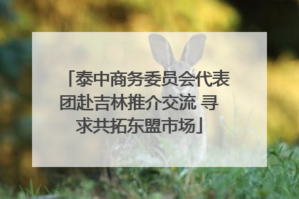 泰中商务委员会代表团赴吉林推介交流 寻求共拓东盟市场